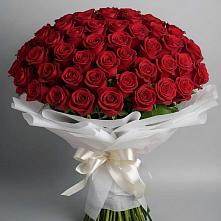 Букет 101 Красная роза Блэк Мэджик в Вольно-Донской
