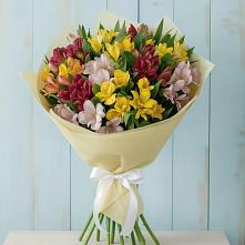 Букет цветов из:  Альстромерии #REPLACE_PRED# Вольно-Донской