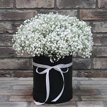 Цветочная композиция из Гипсофила в шляпной коробке в Вольно-Донской