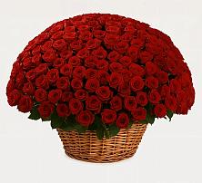 Премиум букет из: Розы в Вольно-Донской